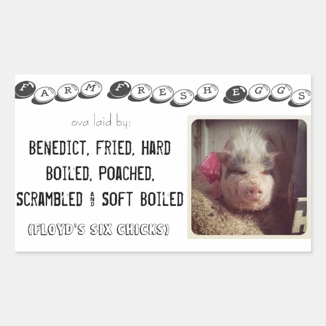 Retangular adesivo da caixa de ovo (Frente)