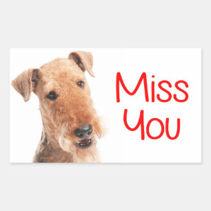Retangular Adesivo de Cachorro Filhote Airedale Terrier Miss