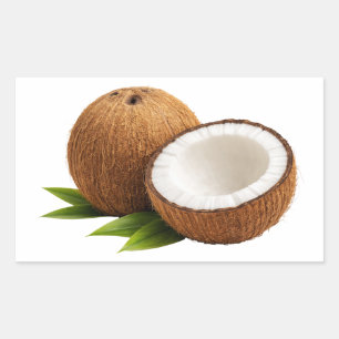 Retangular Adesivo de Coco Fresco Com Metade Cortada