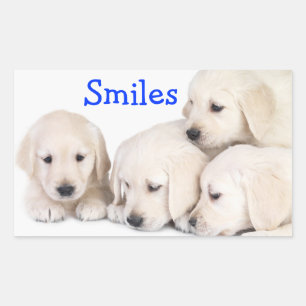 Retangular Adesivo de Filhotes de Labrador Retriever Sorrisos