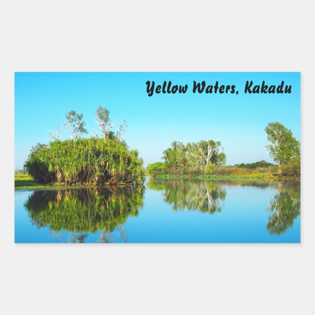 Retangular Adesivo de Kakadu, águas amarelas (Frente)