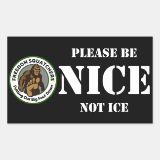 Retangular Adesivo Freedom Squatchers "NICE" 4,5x2,7