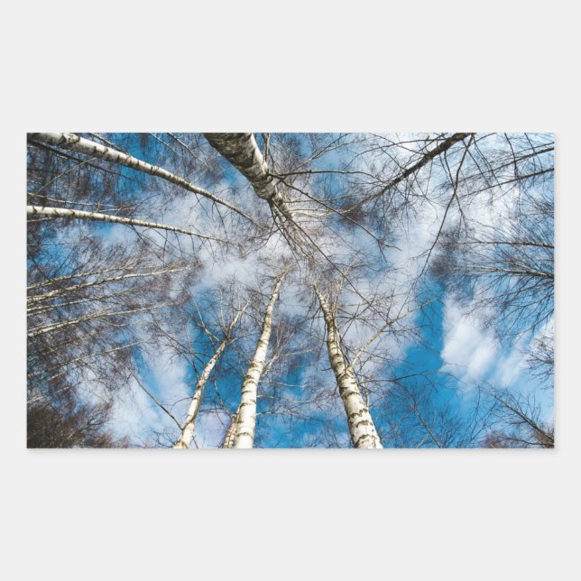 Retangular Belas árvores indo em direção ao adesivo do céu (Frente)