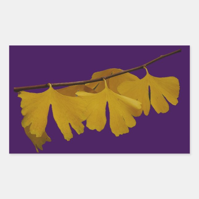 Retangular Ginkgo Biloba deixa adesivo (Frente)