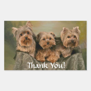 Retangular Obrigado adesivo de cachorros Yorkshire Terrier