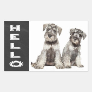 Retangular Olá Adesivo de Quadro de Giz do Cão Schnauzer Mini