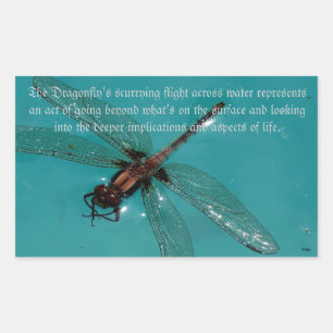 Retangular Um adesivo do Life 2 Dragonflies