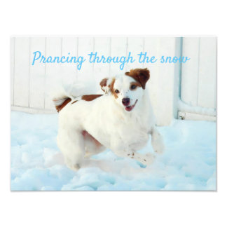 Retirando Através Do Alargamento Da Foto Da Neve