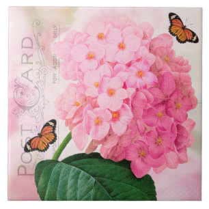 Retirar o Azulejo cerâmico francês cor-de-rosa