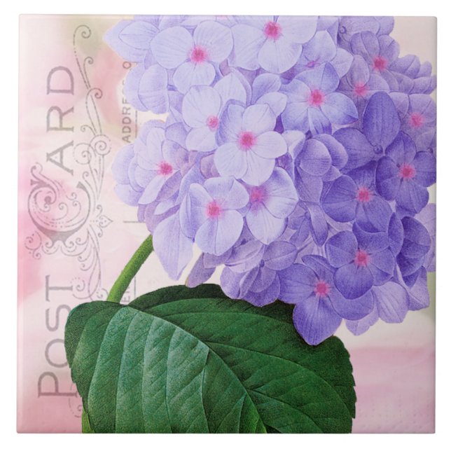 Retirar o Azulejo cerâmico francês Roxo Hydrangea (Frente)