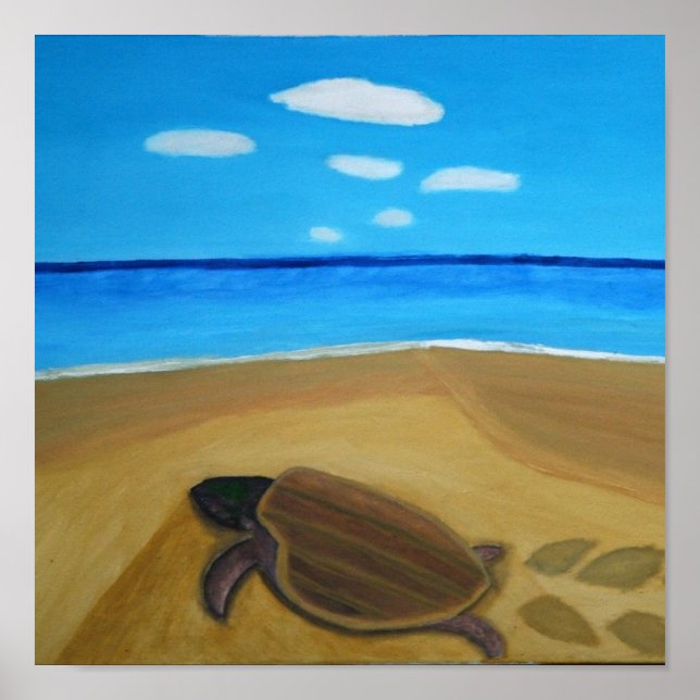 Retorno do Poster da Tartaruga (Frente)