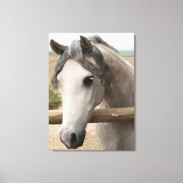 Retrato Cavalo Canvas 24" x 18", 1,5"