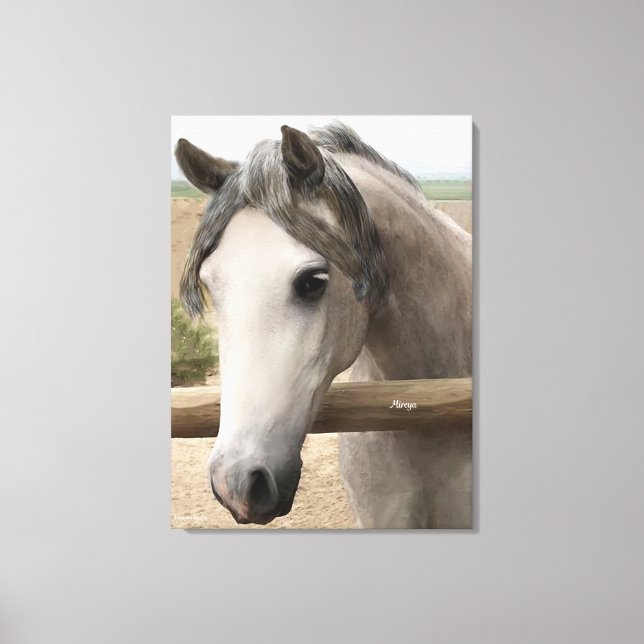 Retrato Cavalo Canvas 24" x 18", 1,5" (Frente)
