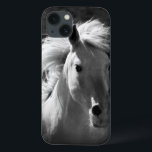 Retrato Cavalo V<br><div class="desc">Animais</div>