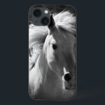 Retrato Cavalo V<br><div class="desc">Animais</div>