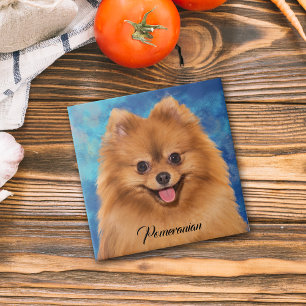 Retrato da Pomerânia em Segundo Plano Abstrato