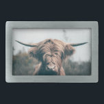 Retrato das vacas do planalto<br><div class="desc">Foto de retrato animal da majestosa vaca da Highland.</div>