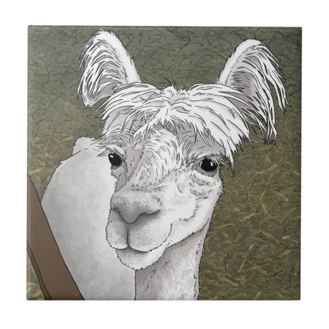 Retrato de Alpaca 2 (Frente)
