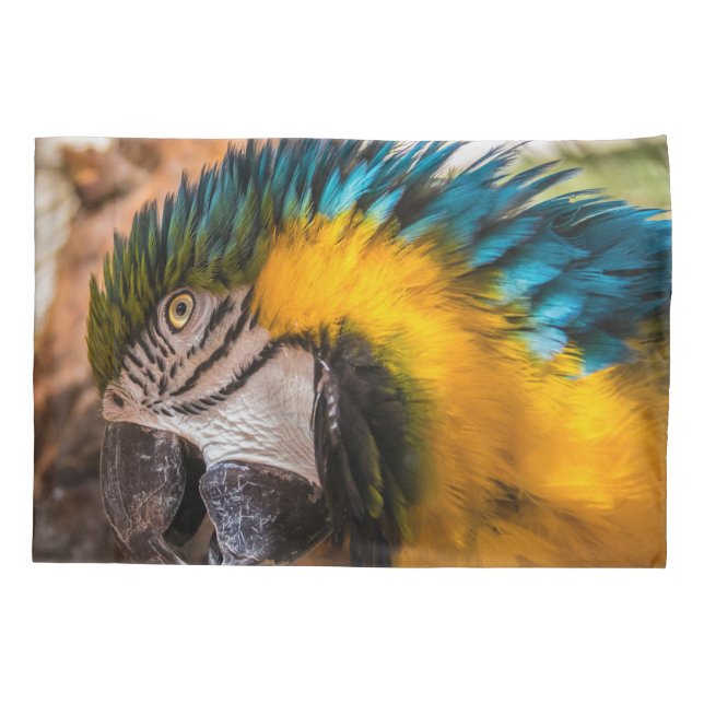 Retrato de arara azul e amarela (Verso)