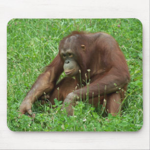 Retrato de assento Mousepad do orangotango