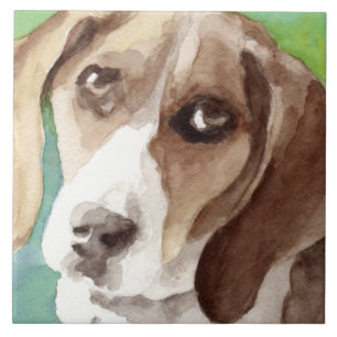 Retrato de Beagle em aquarela