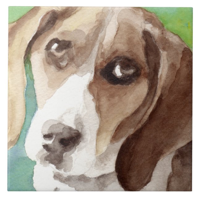 Retrato de Beagle em aquarela (Frente)
