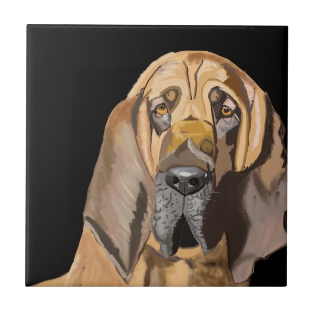 Retrato de Bloodhound (Frente)