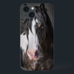 Retrato de Cavalo II<br><div class="desc">Animais</div>