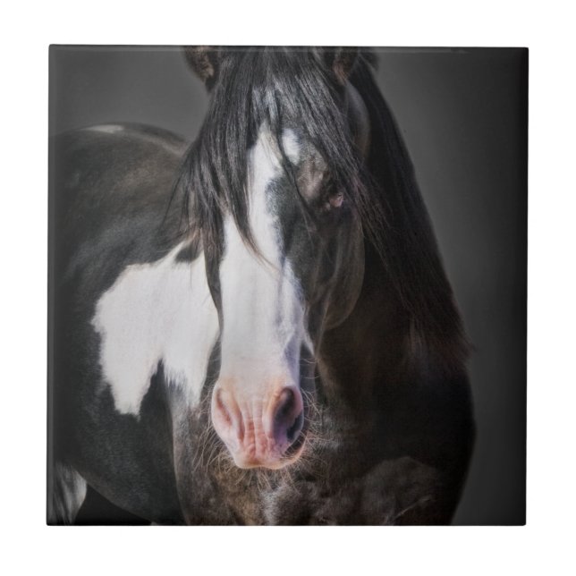 Retrato de Cavalo II (Frente)