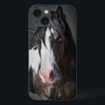 Retrato de Cavalo II<br><div class="desc">Animais</div>