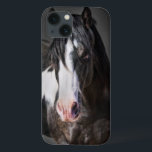 Retrato de Cavalo II<br><div class="desc">Animais</div>