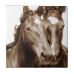 Retrato de Cavalo III<br><div class="desc">Animais</div>