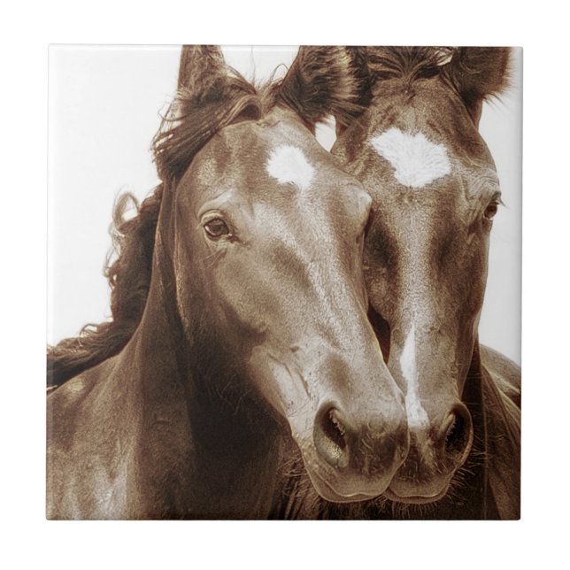 Retrato de Cavalo III (Frente)