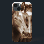 Retrato de Cavalo III<br><div class="desc">Animais</div>