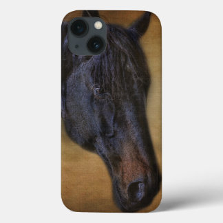 Retrato de Cavalo Negro no efeito de pergaminho ru