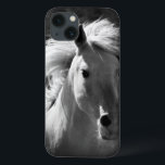 Retrato de Cavalo V<br><div class="desc">Animais</div>