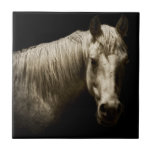 Retrato de Cavalo VI<br><div class="desc">Animais</div>