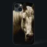 Retrato de Cavalo VI<br><div class="desc">Animais</div>