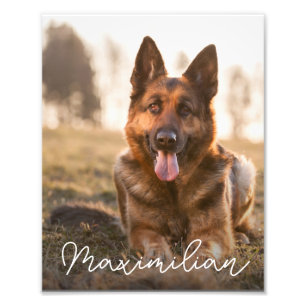 Retrato de Foto de Cachorro Personalizado com Nome