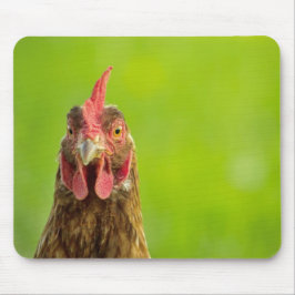 Retrato de frango engraçado - Mousepad