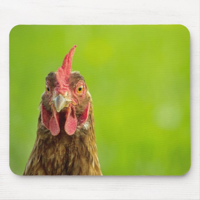 Retrato de frango engraçado - Mousepad (Frente)