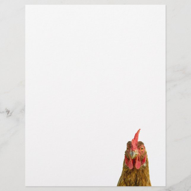 Retrato de frango Letterhead (Frente)