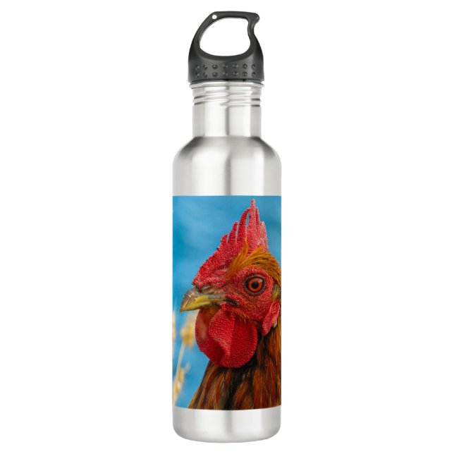 Retrato de frango Maui em uma garrafa de água inox (Frente)