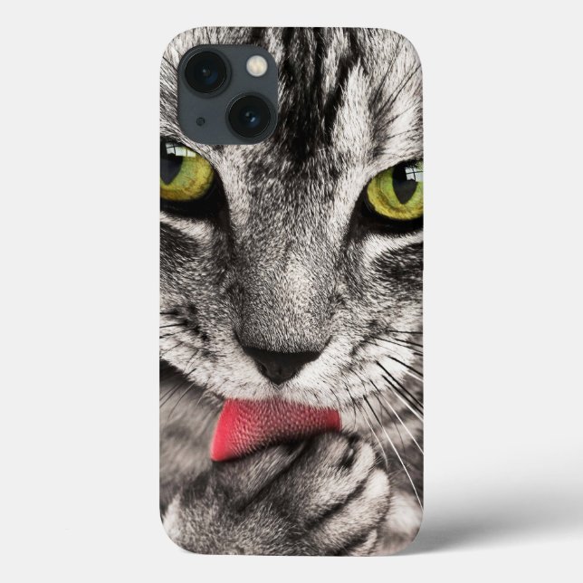Retrato de Gato (Verso)
