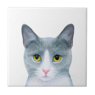Retrato de Gato Cinza 611