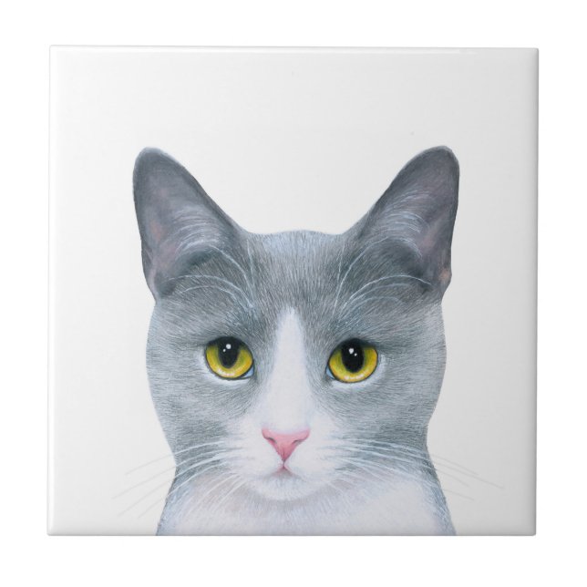 Retrato de Gato Cinza 611 (Frente)