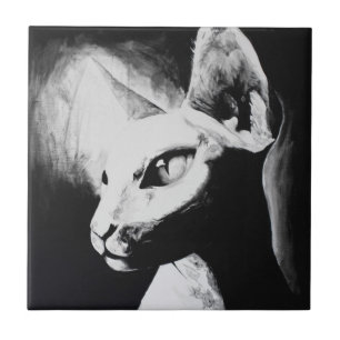 Retrato de Gato Sphynx Preto Branco Contraste Arte