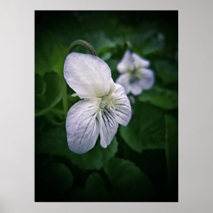 Retrato de Impressão de Arte Fotográfica de Flor