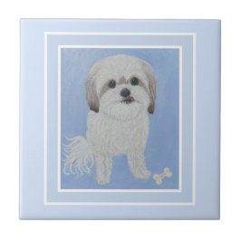 Retrato de Malshi com Azulejo de Cerâmica de Osso