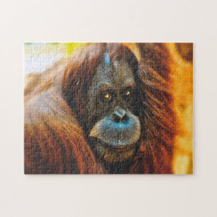 Retrato de Orangutan, Quebra-cabeça de serra